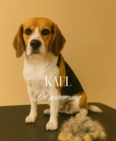 kael.grooming