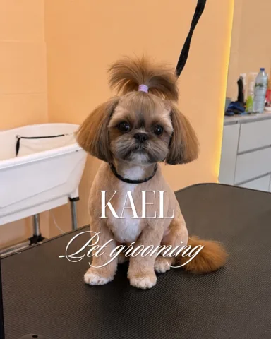 kael.grooming