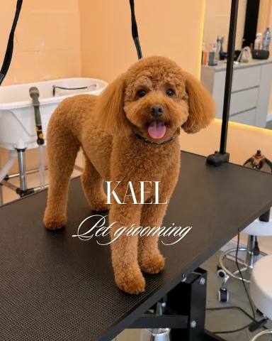 kael.grooming
