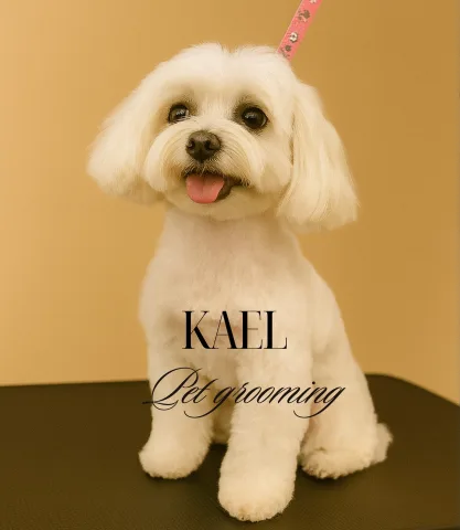 kael.grooming