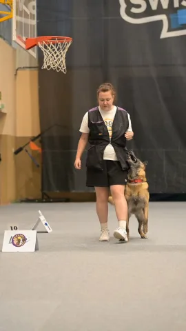 cleverdog_school