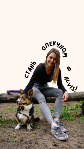 uaalvis