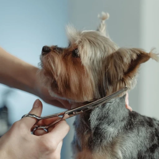 vladasgroomers