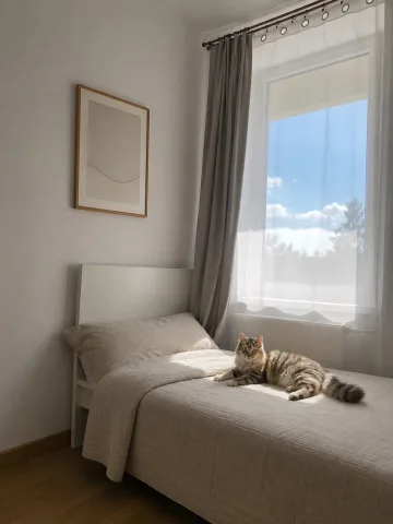 paws_in_warsaw