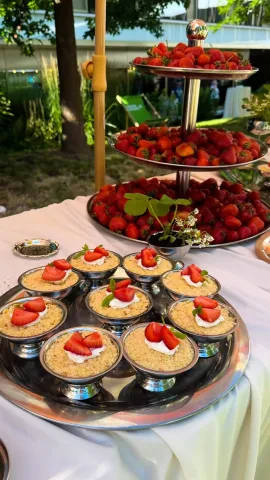linas_event_agency