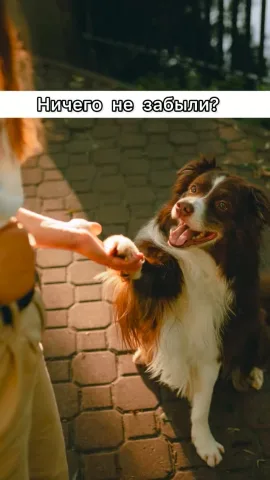 olgadenis_kinolog