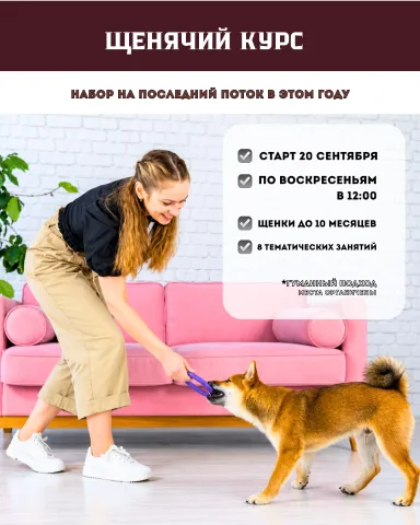 olgadenis_kinolog