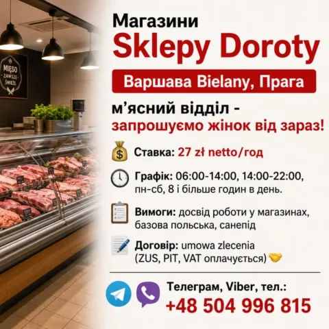 mazovia.job