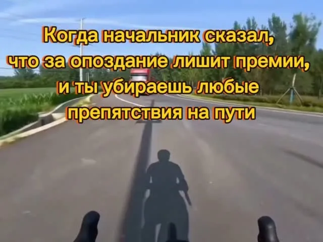 wizdrive