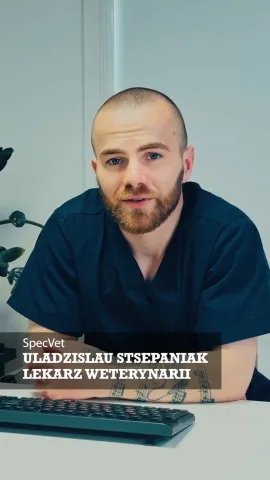 stsepaniakuladzislau