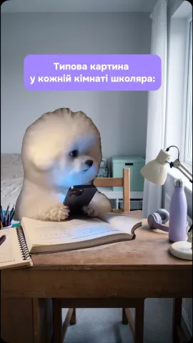 algonova.ua