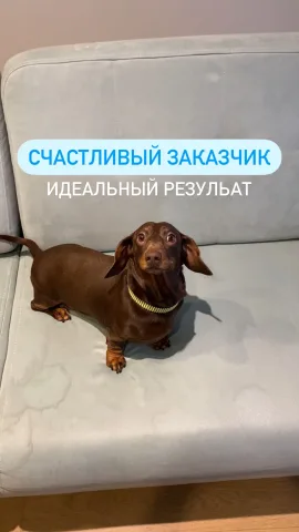 czystoclean