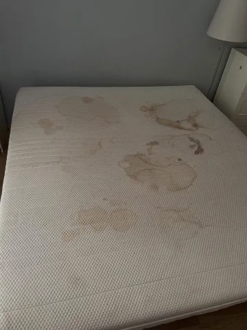 czystoclean