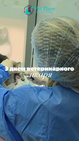 _vetplace_
