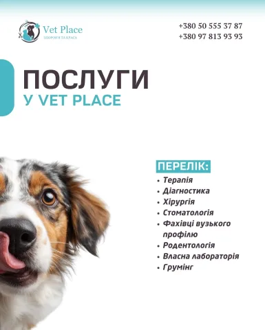 _vetplace_