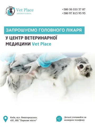 _vetplace_