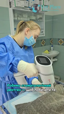 _vetplace_