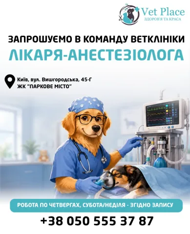 _vetplace_