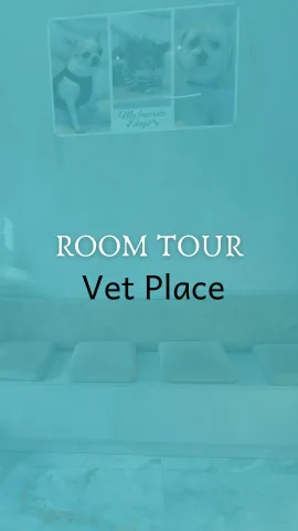 _vetplace_
