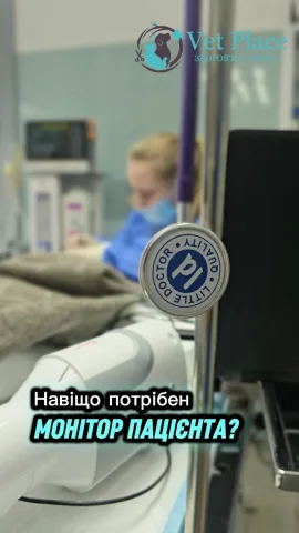 _vetplace_