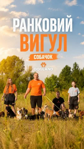 dogland.center