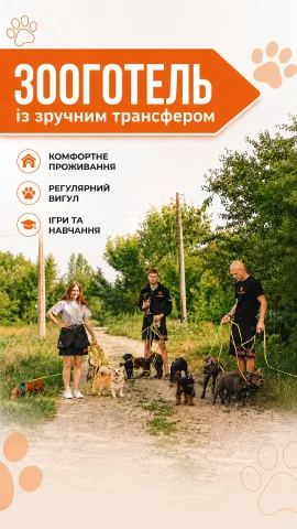 dogland.center