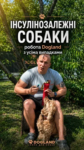dogland.center