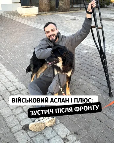 dogland.center