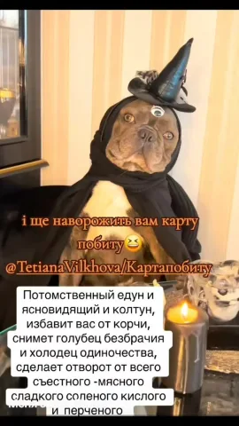tatianavilkhova