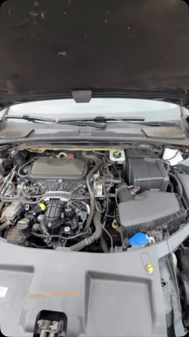 autostate_expert