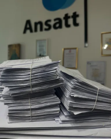 ansatt.info