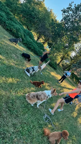 hunter_dog_school