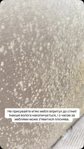 cleaning_pure_line