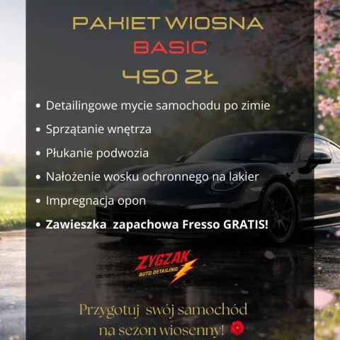 zygzak.detailing