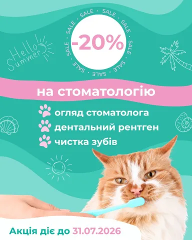 zoopatrul.clinic