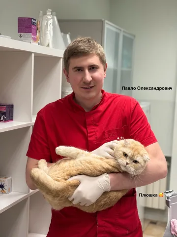 zoopatrul.clinic