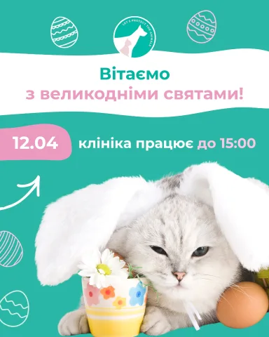 zoopatrul.clinic