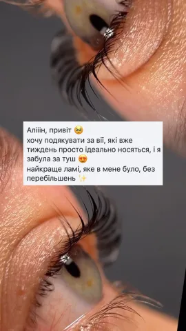 verba_browss_