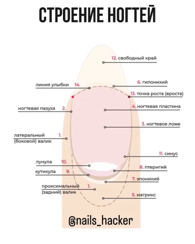 nails_hacker
