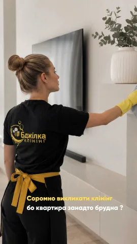 bdjilka_klining