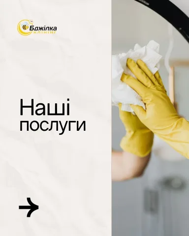 bdjilka_klining