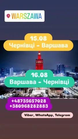 bibi_bus_