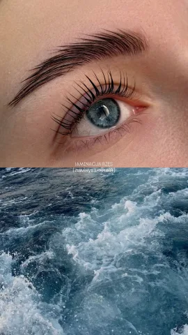 brows_lanaa