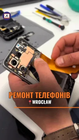 expert_wroclaw_