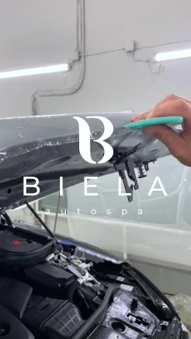 biela_auto_spa
