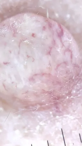 dr.oksana_khomych