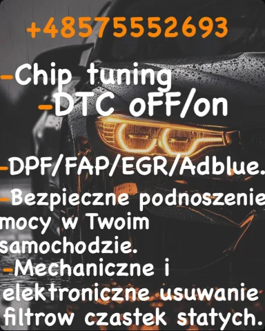 chip_tuning_engineer_pl