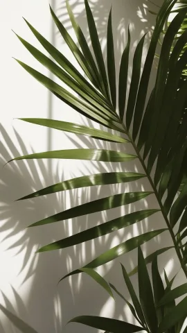 ilav_epil