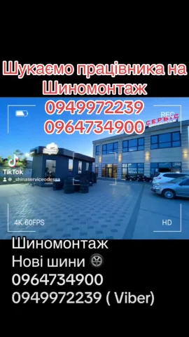 0949972239shinaservis