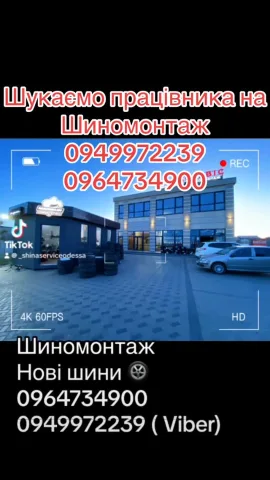 0949972239shinaservis